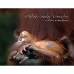 Wildlife's Greatest Connection