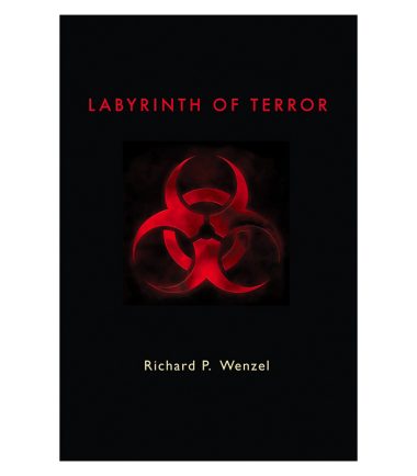 Labyrinth of Terror